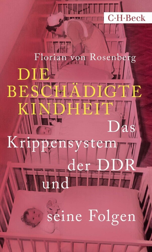 Die beschädigte Kindheit main product photo