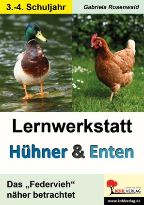 Lernwerkstatt Hühner und Enten / Grundschule