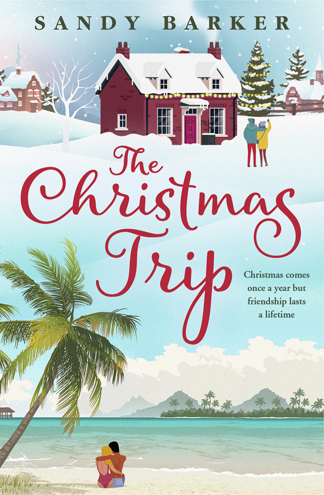 The Christmas Trip main product photo
