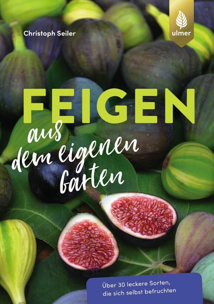 Feigen aus dem eigenen Garten main product photo