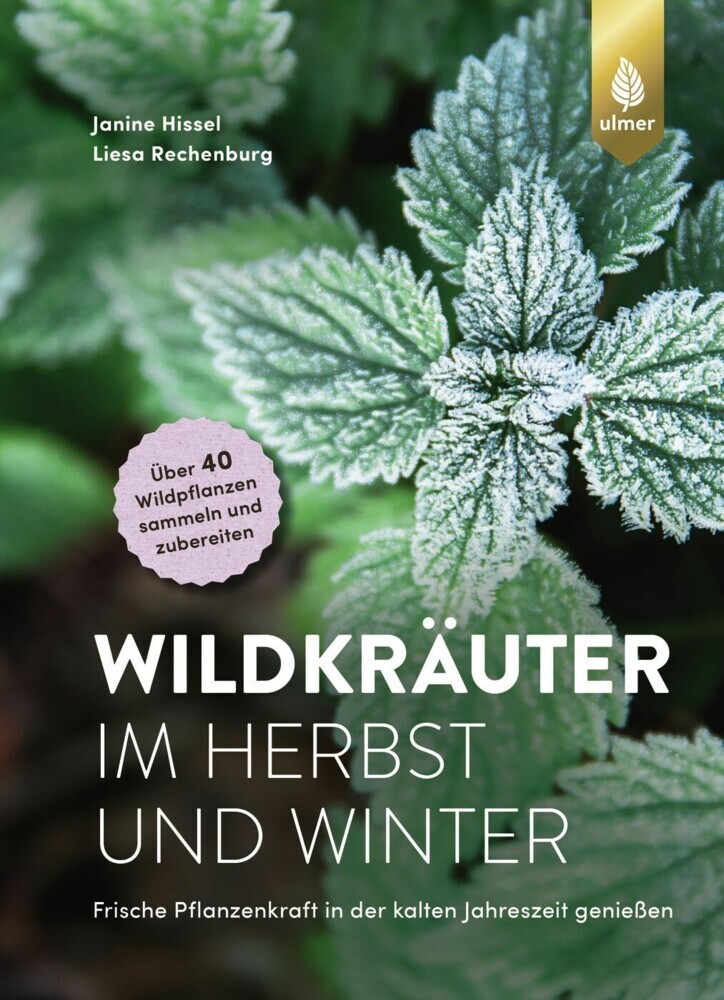 Wildkräuter im Herbst und Winter main product photo