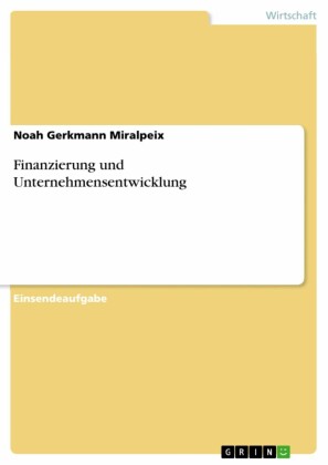 Finanzierung und Unternehmensentwicklung