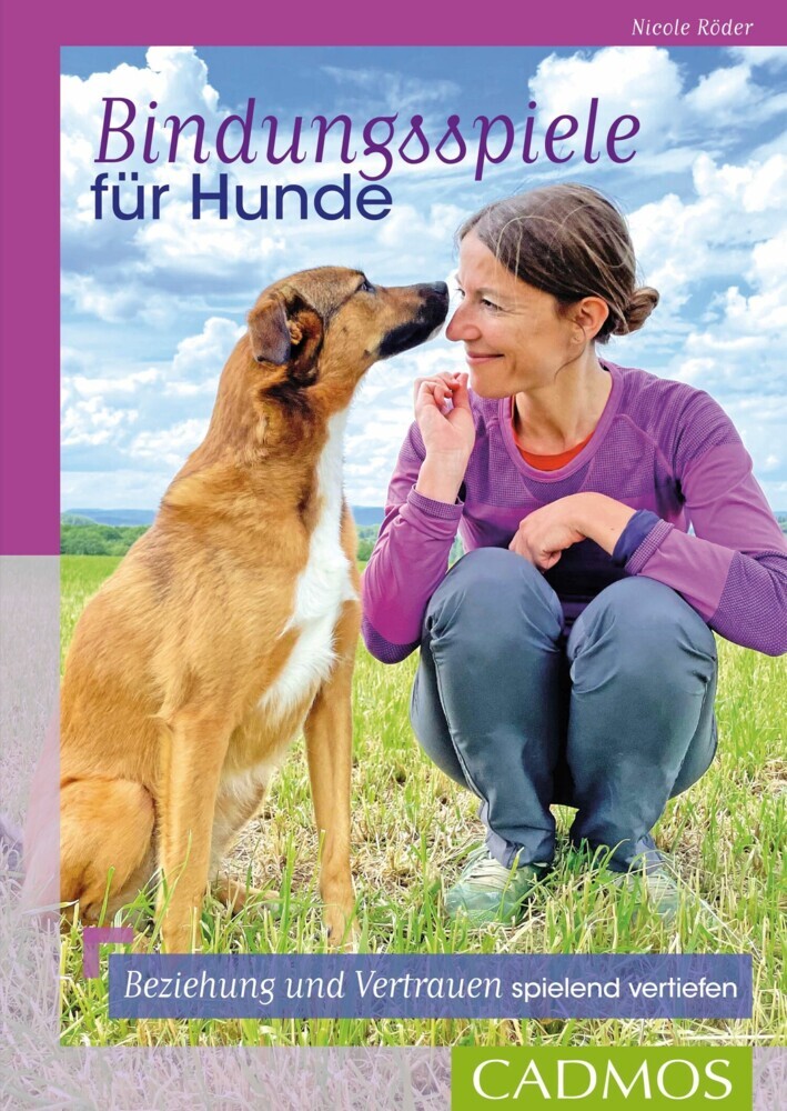 Bindungsspiele für Hunde main product photo