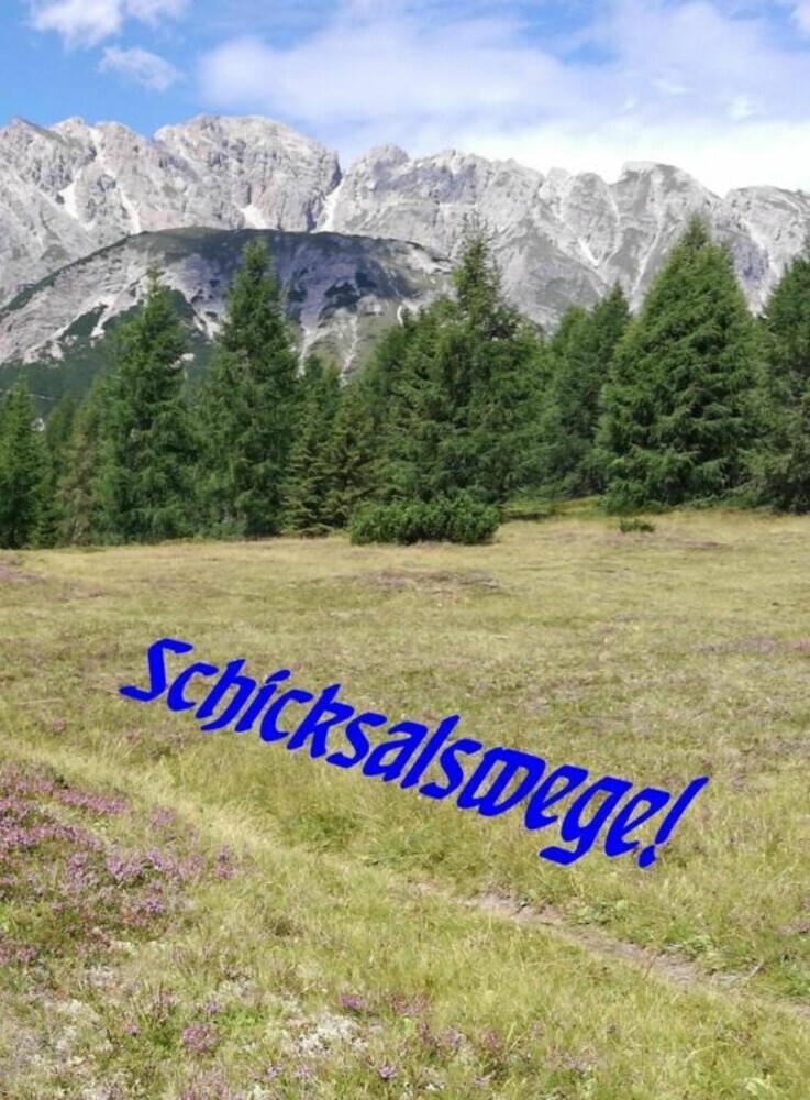 Schicksalswege! main product photo