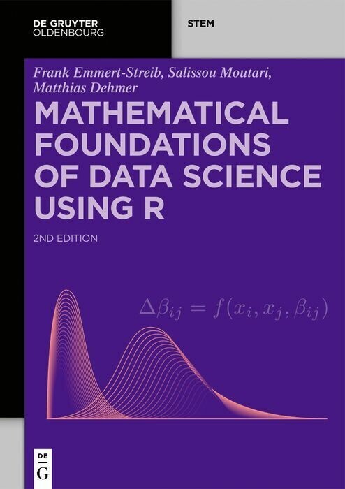 Mathematical Foundations of Data Science Using R main product photo