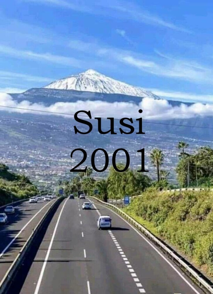 Susi 2001 main product photo
