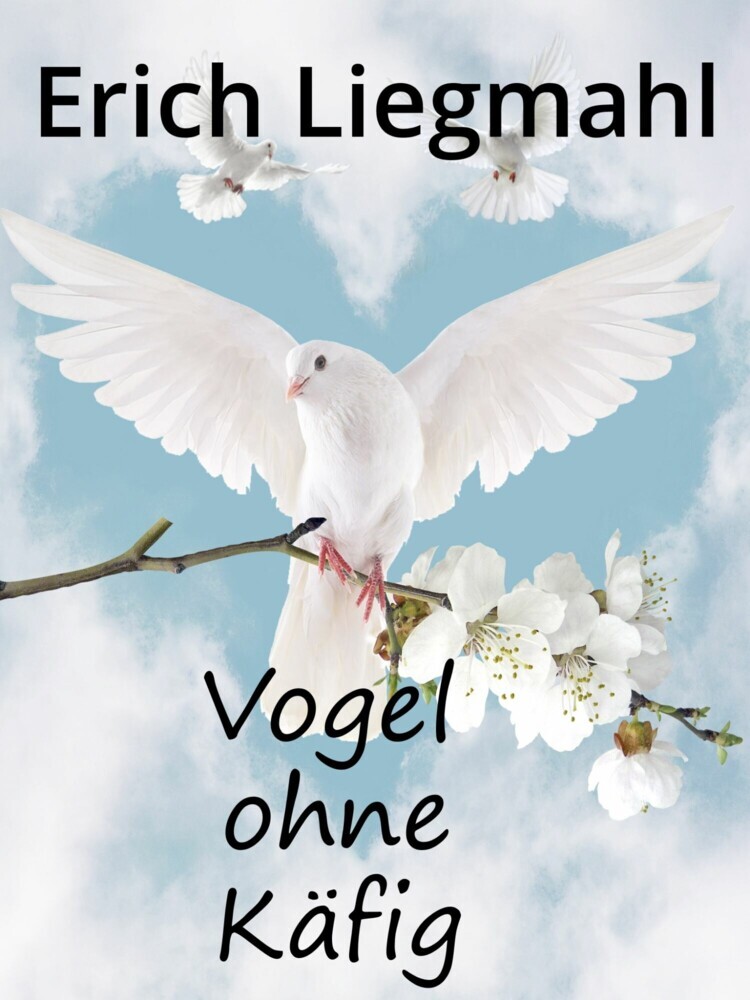 Vogel ohne Käfig main product photo