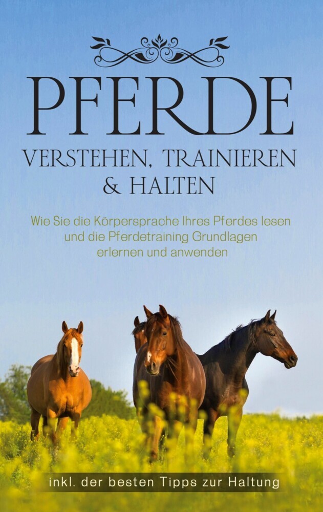 Pferde verstehen, trainieren & halten main product photo