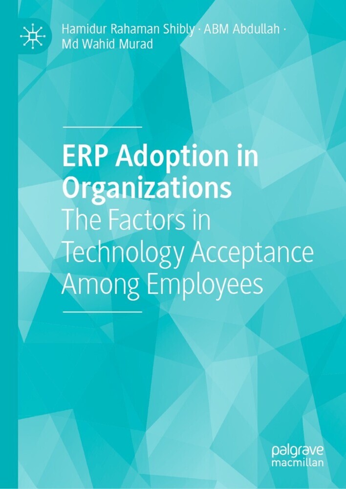 ERP Adoption in Organizations main product photo