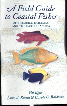 A Field Guide to Coastal Fishes of Bermuda, Bahamas, and the Caribbean Sea