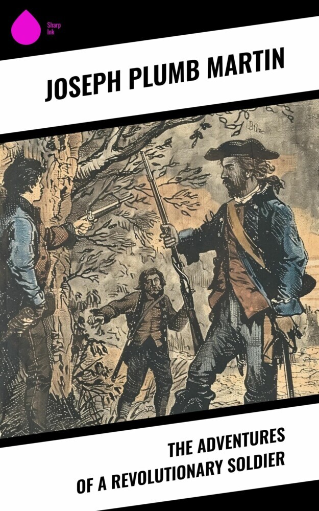 The Adventures of a Revolutionary Soldier main product photo