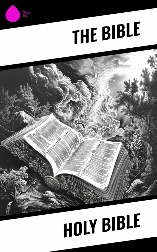 Holy Bible main product photo