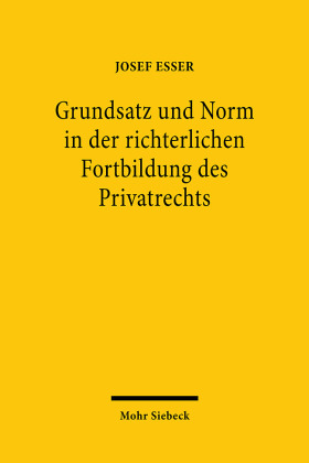 Grundsatz und Norm in der richterlichen Fortbildung des Privatrechts