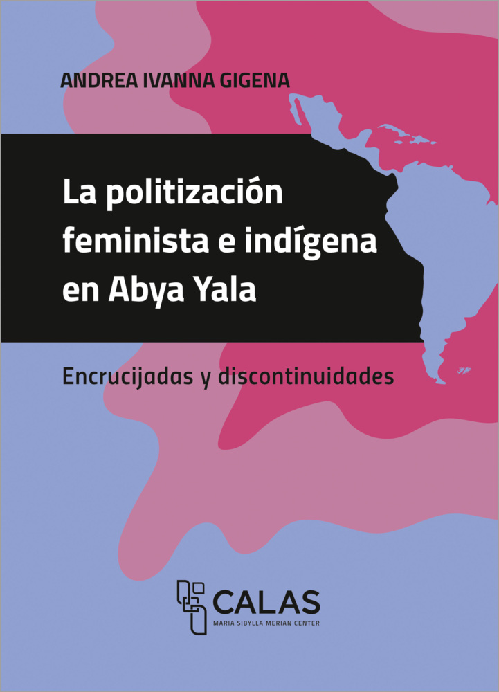 La politización feminista e indígena en Abya Yala main product photo