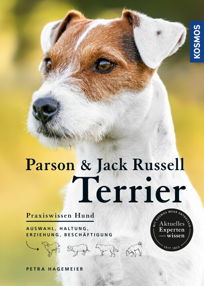 Parson und Jack Russell Terrier main product photo