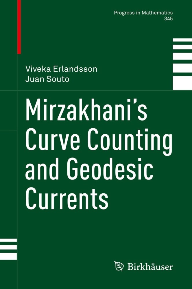 Mirzakhani's Curve Counting and Geodesic Currents main product photo