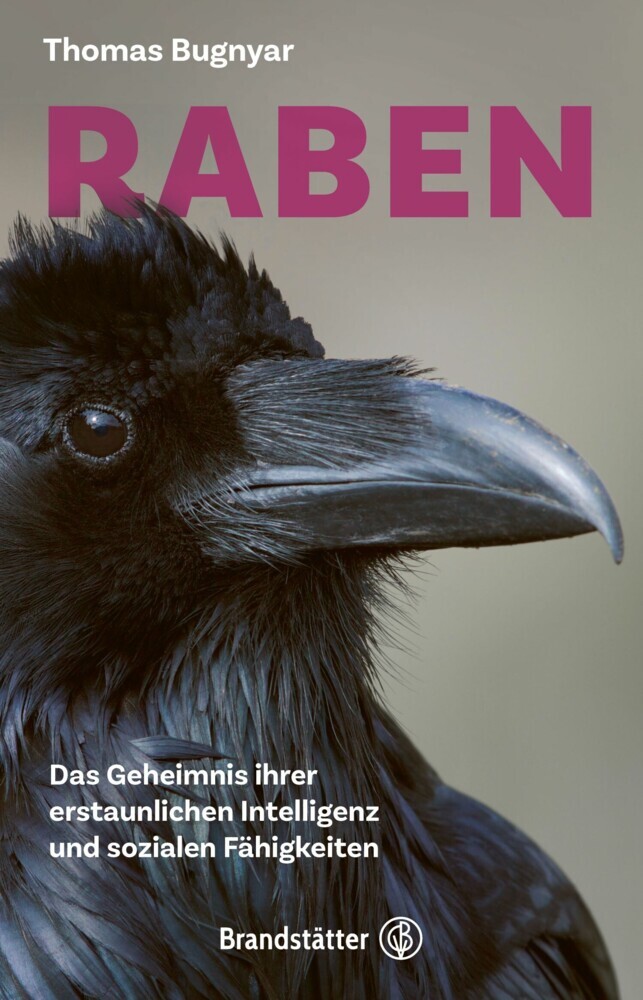 Raben main product photo