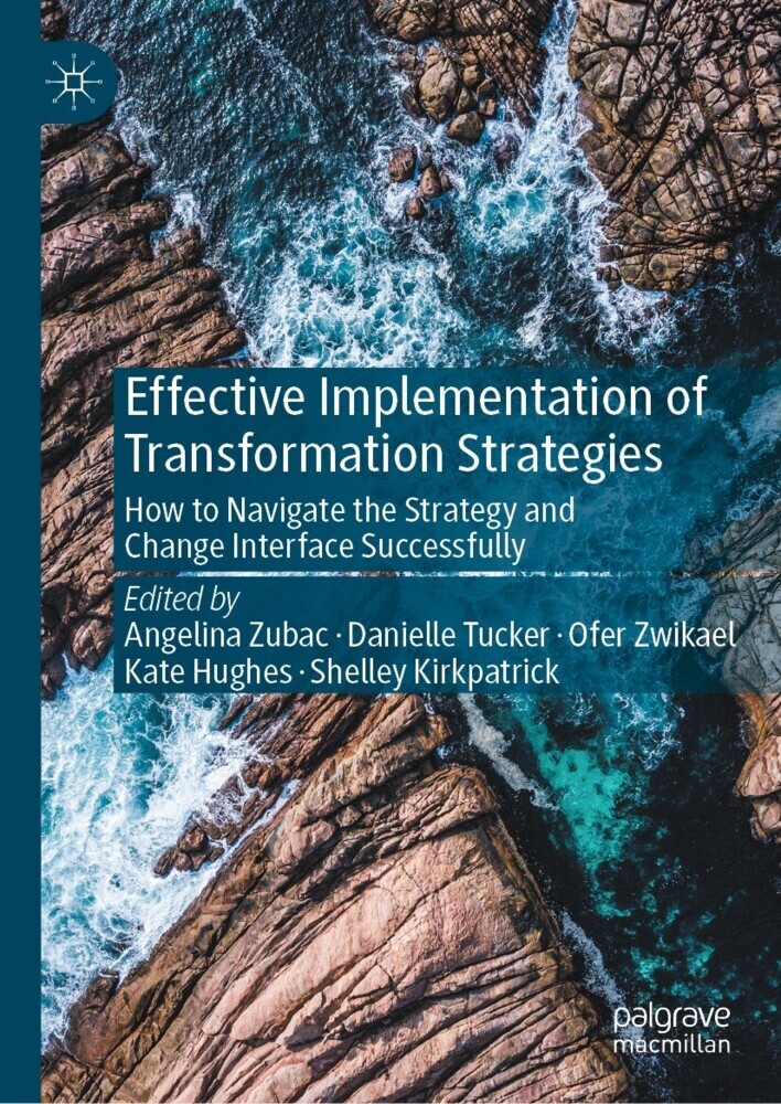 Effective Implementation of Transformation Strategies main product photo