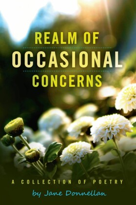 Realm of Occasional Concerns