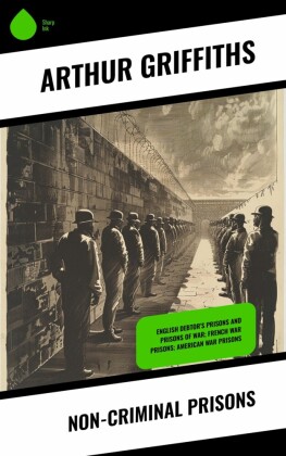 Non-Criminal Prisons