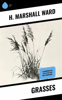 Grasses