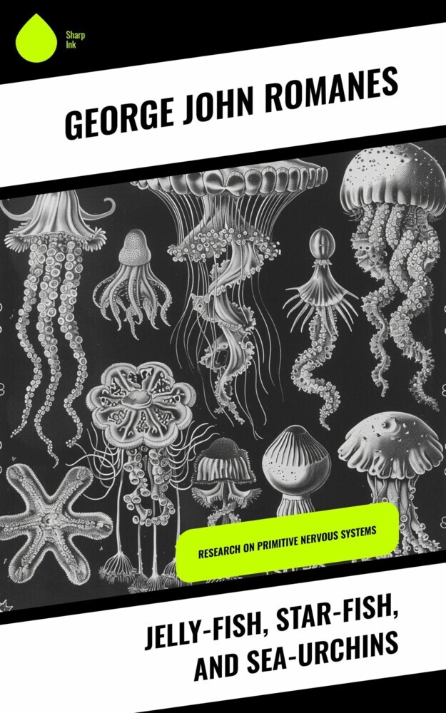 Jelly-Fish, Star-Fish, and Sea-Urchins main product photo