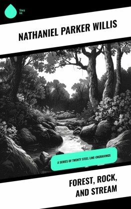 Forest, Rock, and Stream