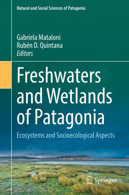 Freshwaters and Wetlands of Patagonia main product photo