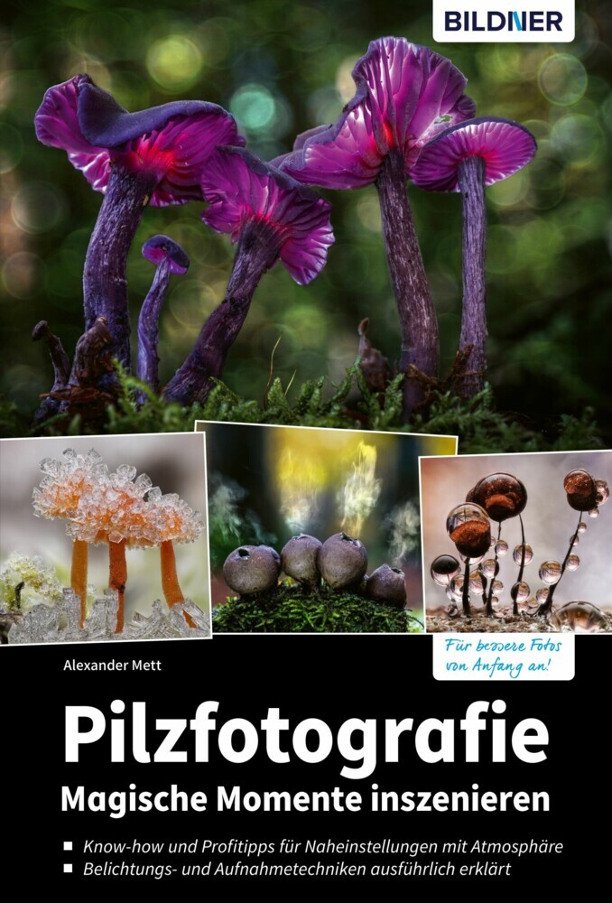 Pilzfotografie main product photo