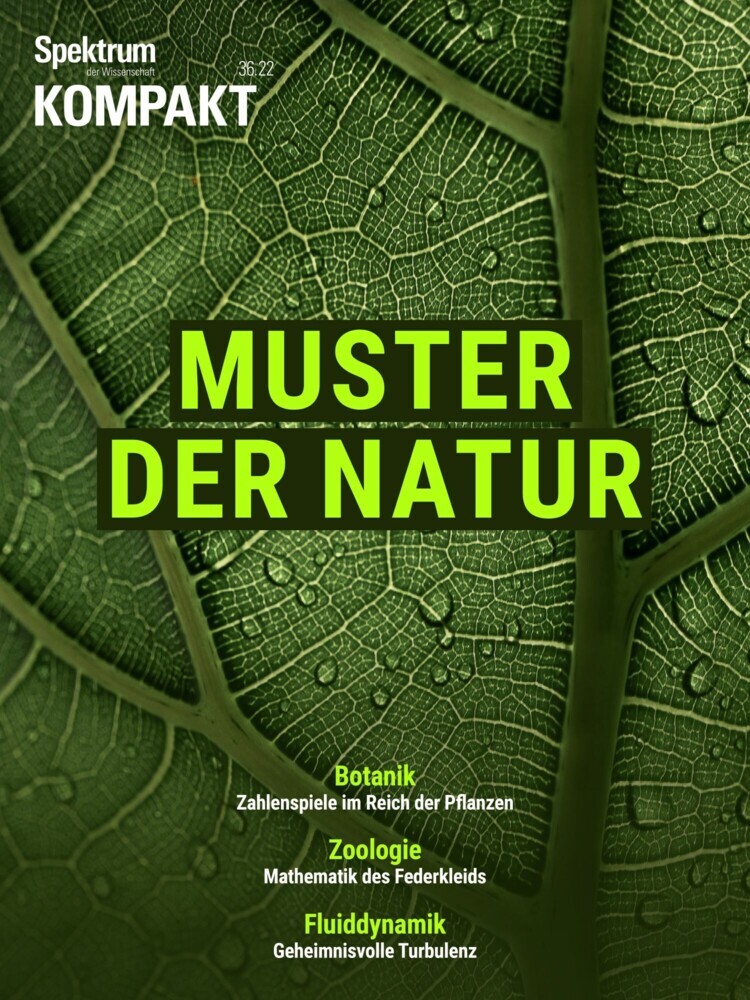Spektrum Kompakt - Muster der Natur main product photo