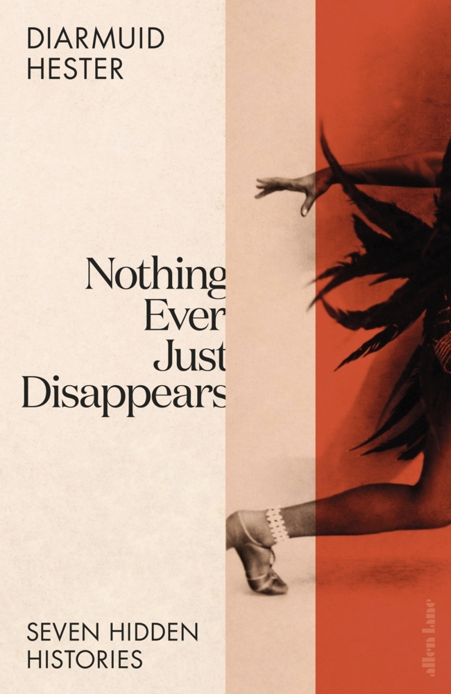 Nothing Ever Just Disappears main product photo