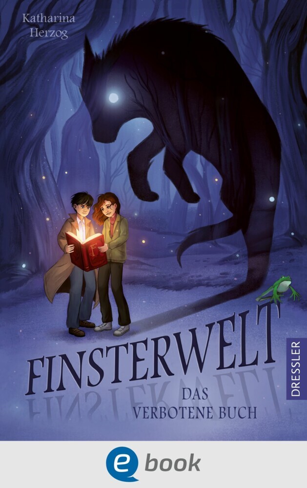 Finsterwelt 1. Das verbotene Buch main product photo