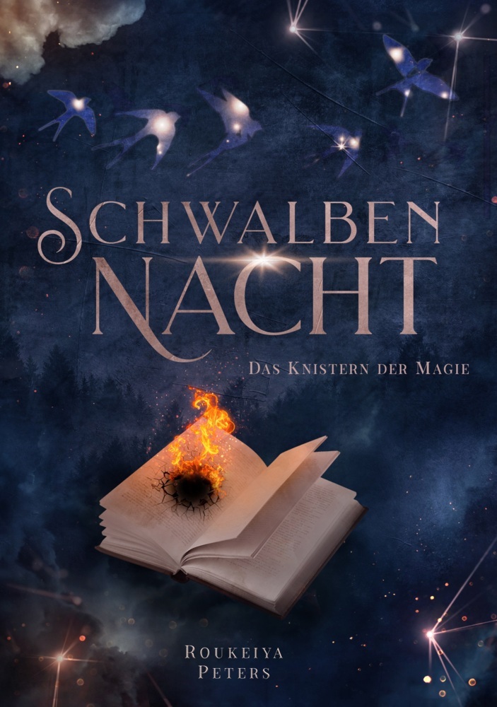 Schwalbennacht main product photo