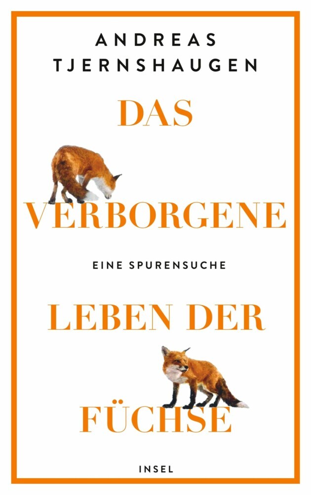 Das verborgene Leben der Füchse main product photo