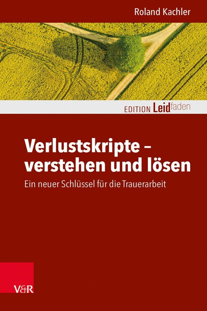 Verlustskripte - verstehen und lösen main product photo