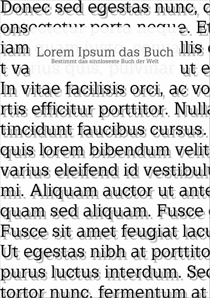 Lorem Ipsum das Buch main product photo