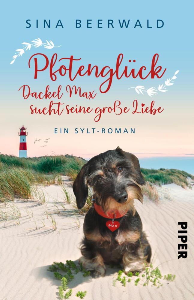 Pfotenglück - Dackel Max sucht seine große Liebe main product photo