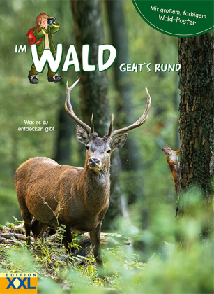 Im Wald geht's rund - mit großem, farbigem Poster, m. 1 Beilage