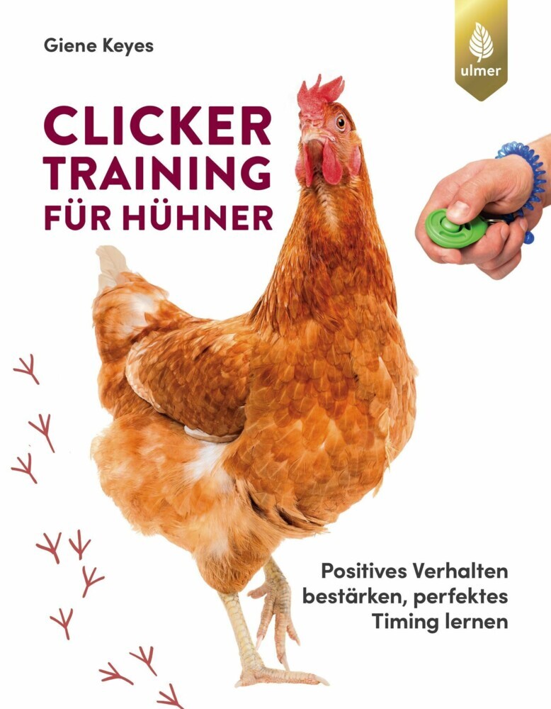 Clickertraining für Hühner main product photo