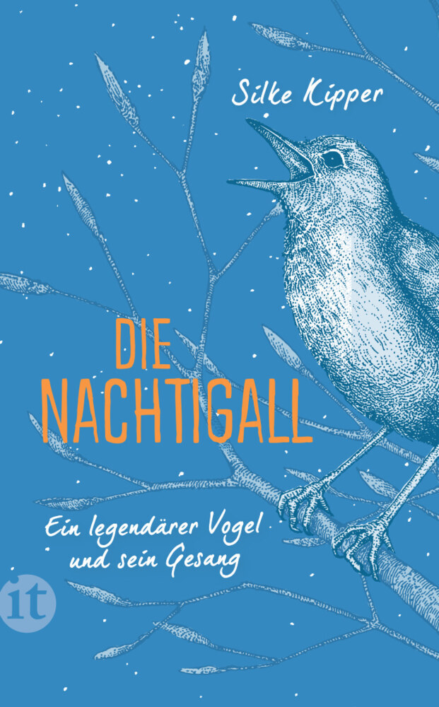 Die Nachtigall main product photo