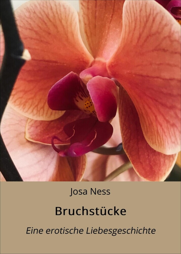 Bruchstücke main product photo