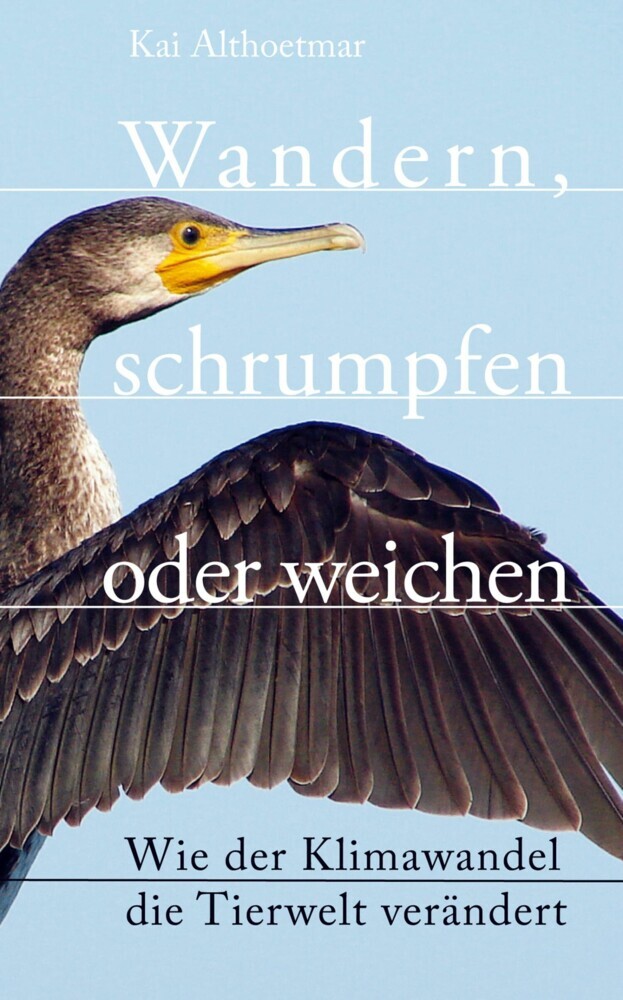 Wandern, schrumpfen oder weichen. Wie der Klimawandel die Tierwelt verändert main product photo