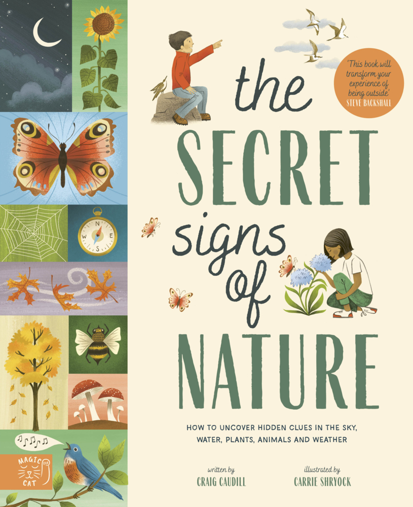 The Secret Signs of Nature main product photo
