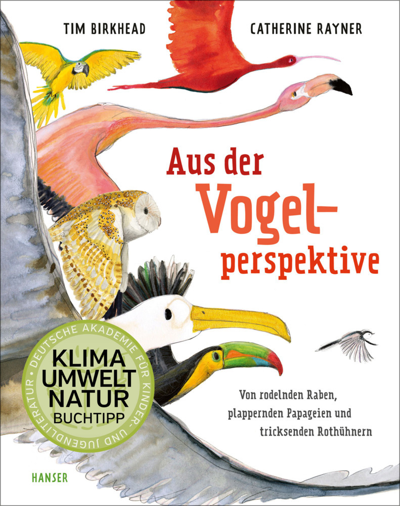 Aus der Vogelperspektive main product photo