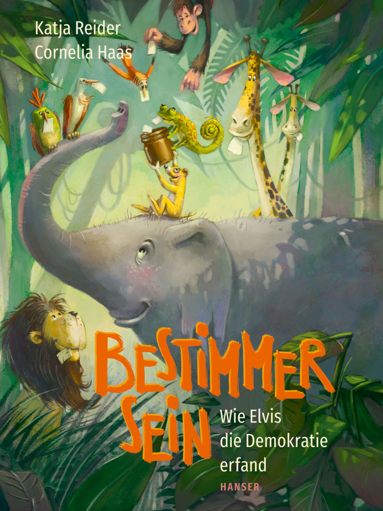 Bestimmer sein main product photo