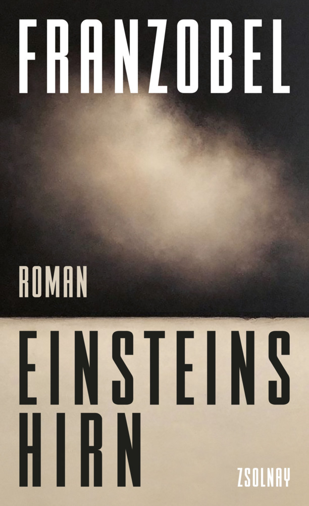 Einsteins Hirn main product photo