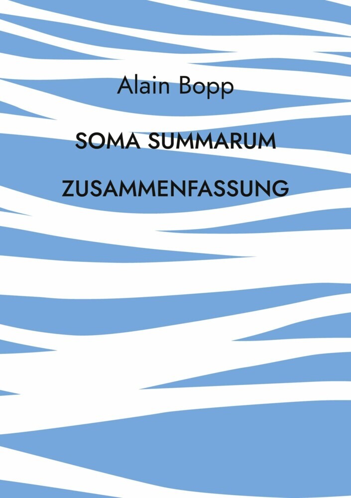 Soma Summarum Zusammenfassung main product photo