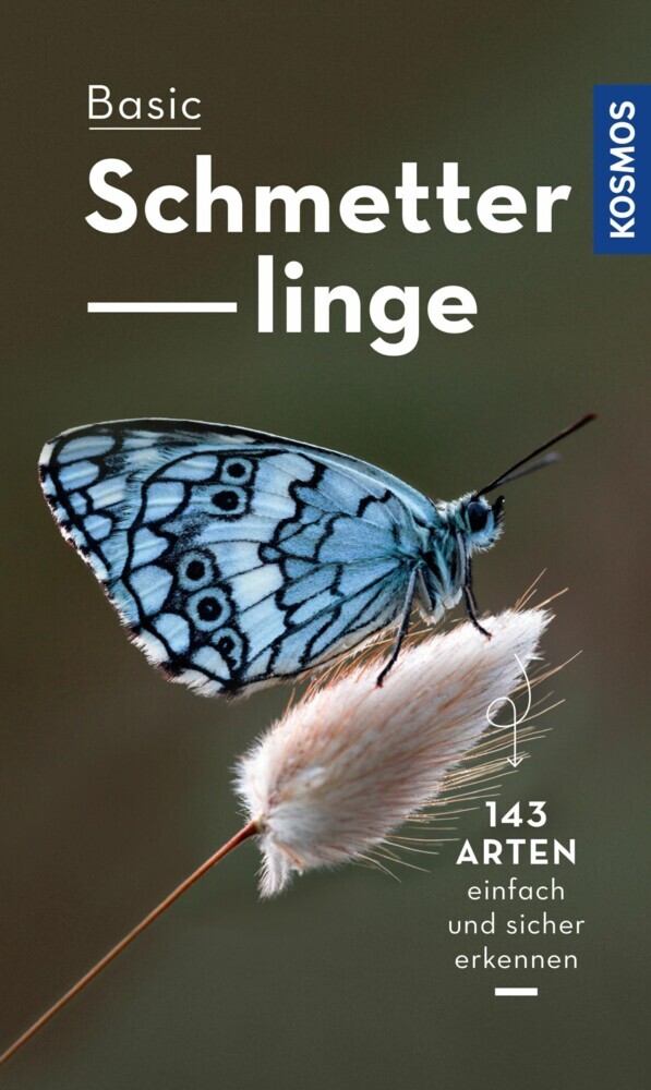 Basic Schmetterlinge main product photo
