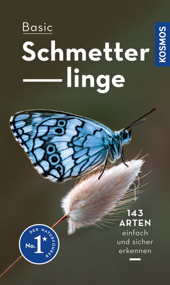 Basic Schmetterlinge main product photo