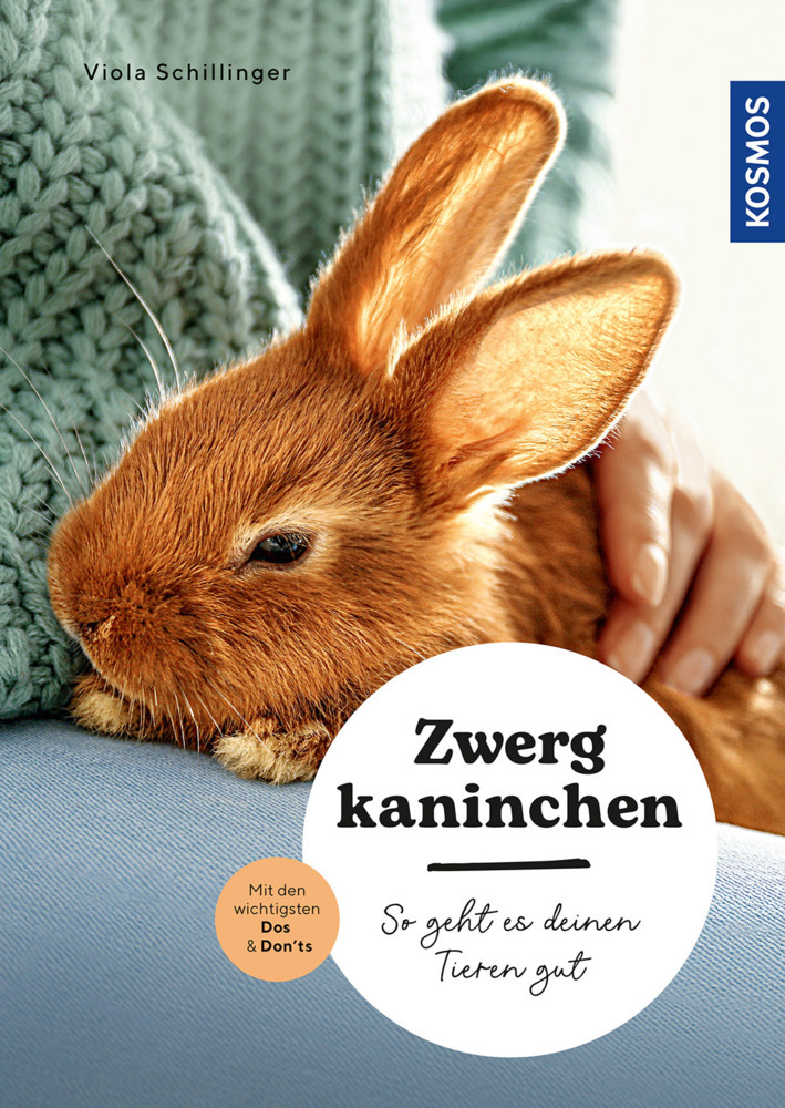 Zwergkaninchen main product photo